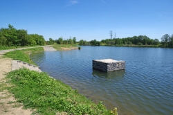 Olšanský rybník