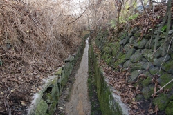 Mariánskolázeňský potok