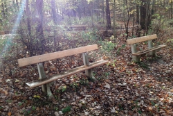 Opravené lavičky v pražských lesích