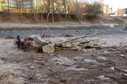 Rybník Kotlářka - mrtvé dřevo a kameny, které budou sloužit jako úkryt pro ryby