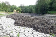 Revitalizace rybníka V Mydlinkách