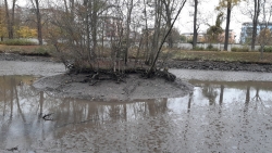 Zámecký rybník v Čakovicích před revitalizací