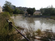 Revitalizace Butovického rybníka