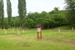 Arboretum po vysazení (foto Tomáš Lubovský).jpg