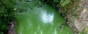 Zhoršená kvalita vody v Rokytce
