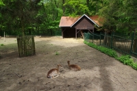 Zookoutek v Kunraticích