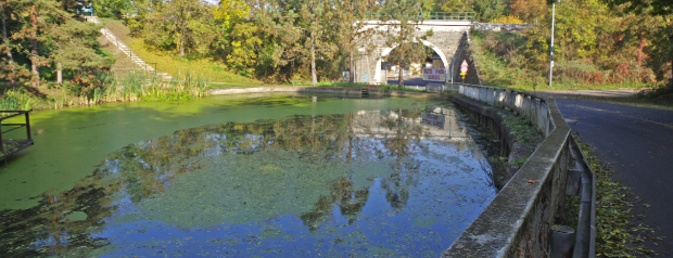 Revitalizace rybníka Bubec